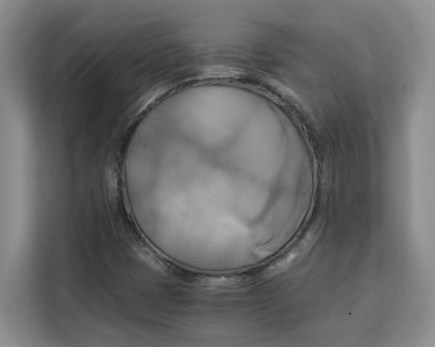 X0000111151401200907141332