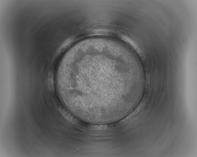 X0000111151403200907141332