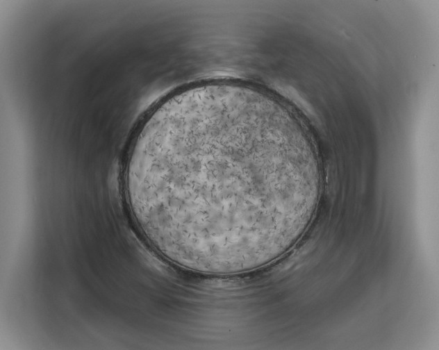 X0000111151404200907141332
