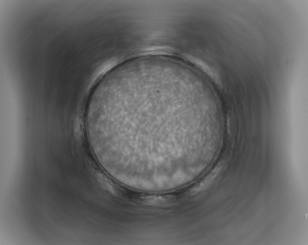 X0000111151405200907141332