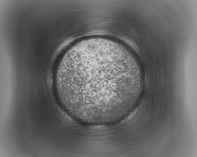 X0000111151406200907141332