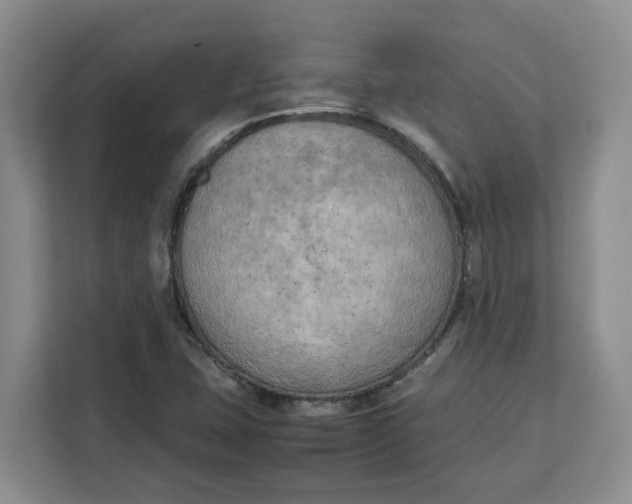 X0000111151407200907141332