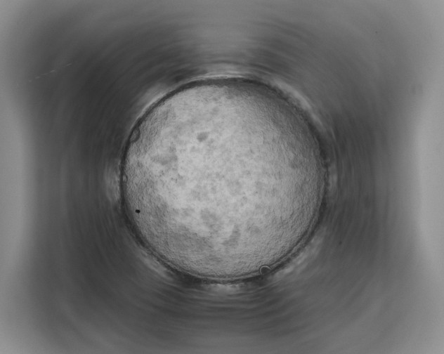 X0000111151409200907141332