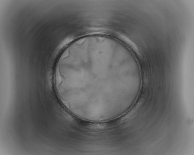 X0000111151411200907141332