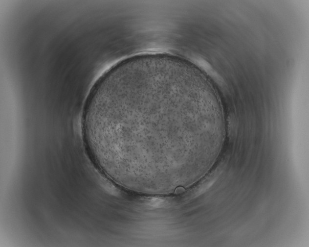 X0000111151412200907141332