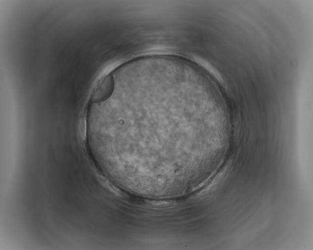 X0000111151413200907141332