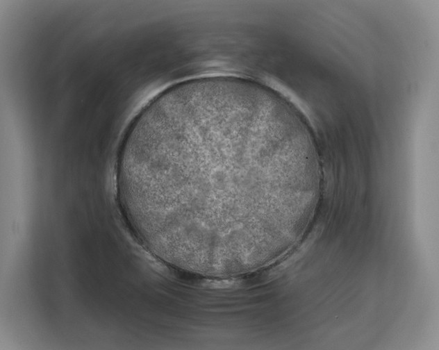 X0000111151415200907141332