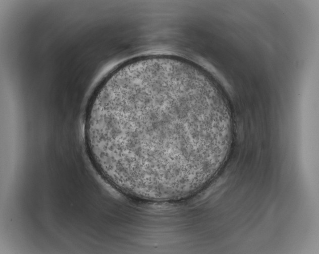 X0000111151416200907141332