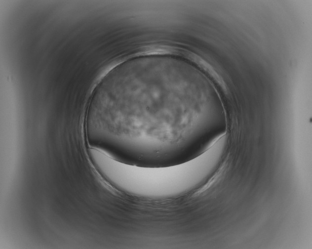 X0000111151417200907141332