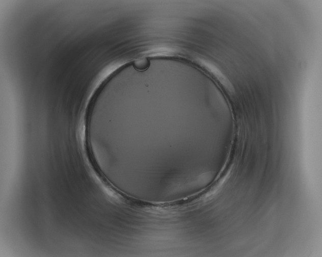 X0000111151418200907141332