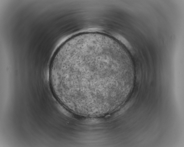 X0000111151420200907141332