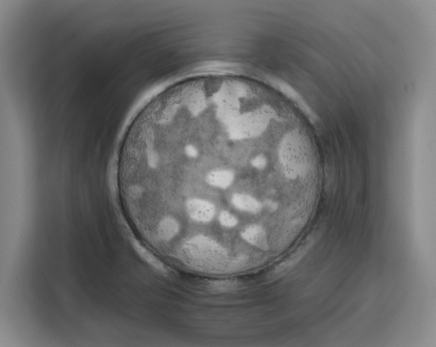 X0000111151421200907141332