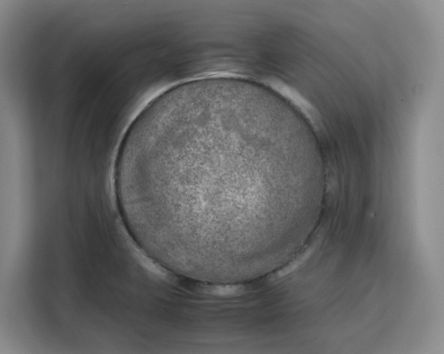 X0000111151423200907141332