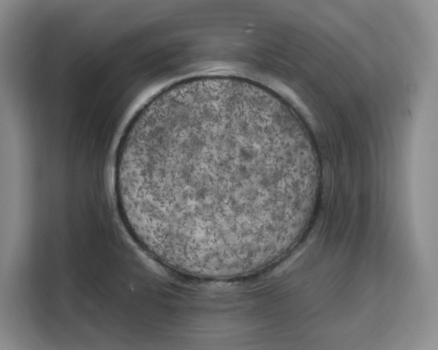 X0000111151424200907141332