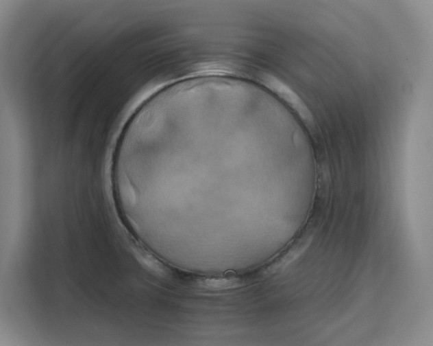 X0000111151427200907141332