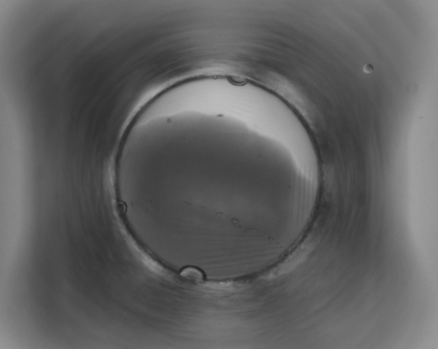 X0000111151428200907141332