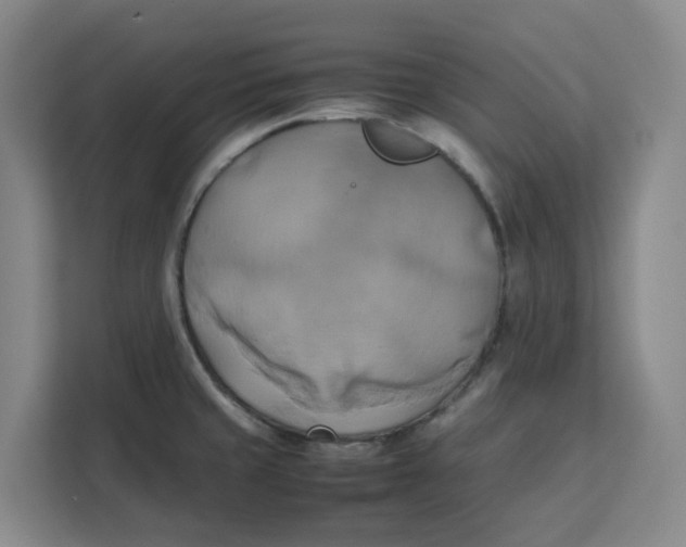 X0000111151429200907141332