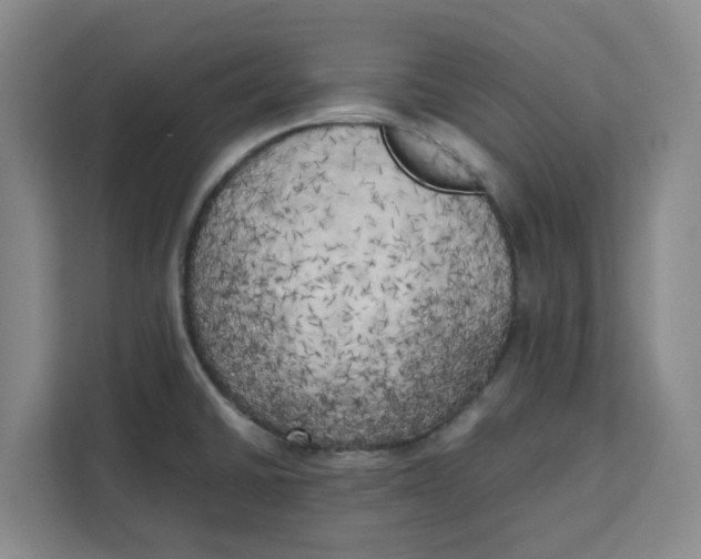 X0000111151430200907141332
