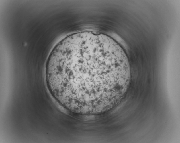 X0000111151431200907141332