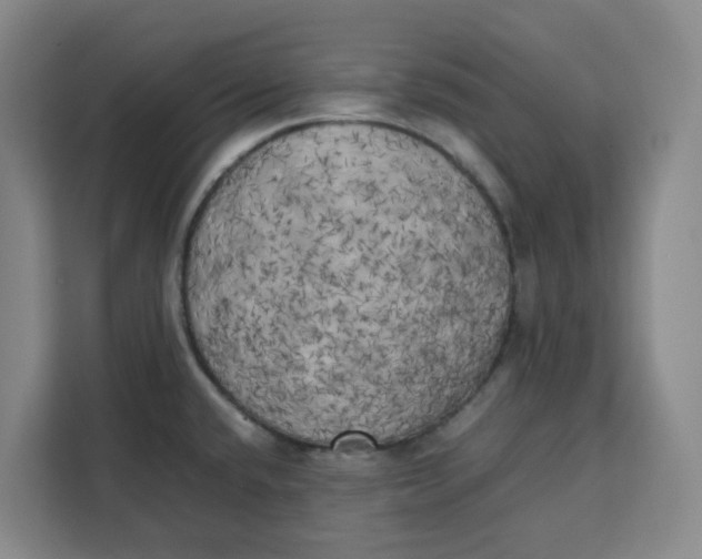 X0000111151432200907141332