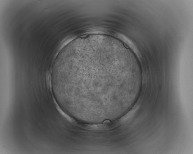 X0000111151433200907141332