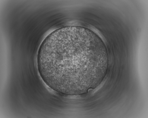 X0000111151434200907141332