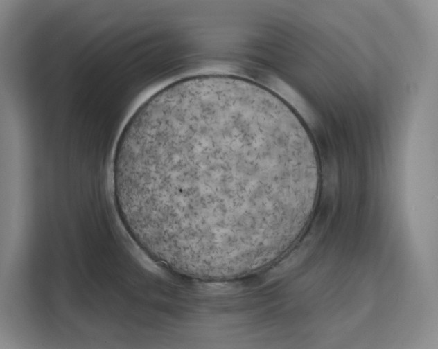 X0000111151436200907141332
