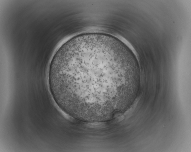 X0000111151437200907141332