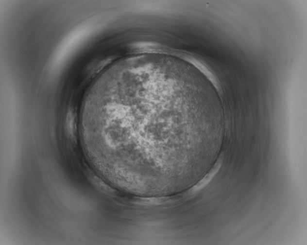 X0000111151438200907141332