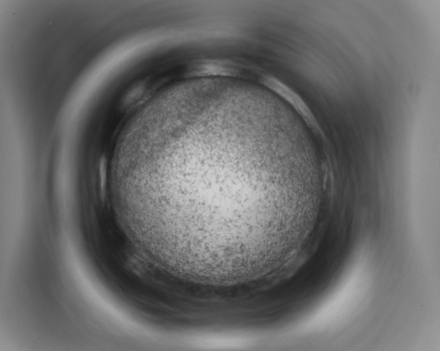 X0000111151439200907141332