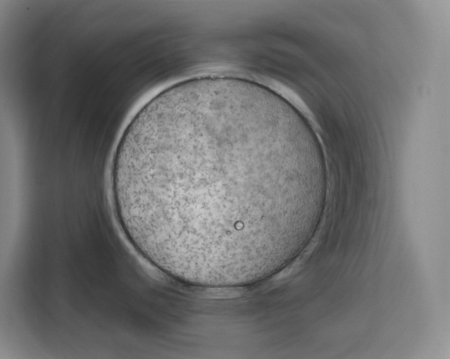 X0000111151440200907141332