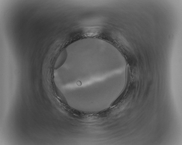 X0000111151441200907141332