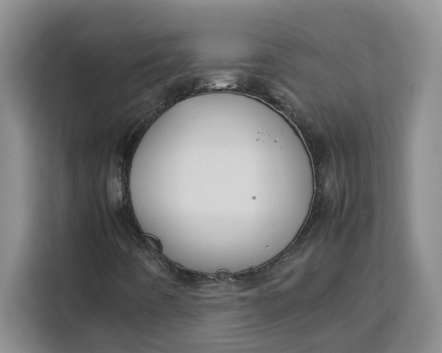 X0000111151442200907141332
