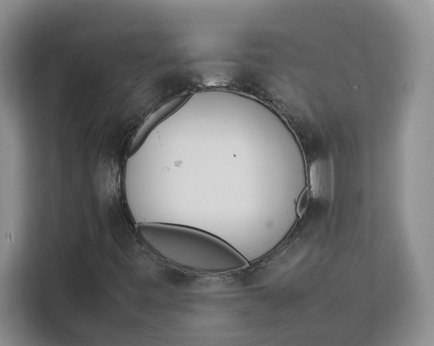 X0000111151443200907141332