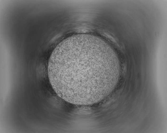 X0000111151446200907141332