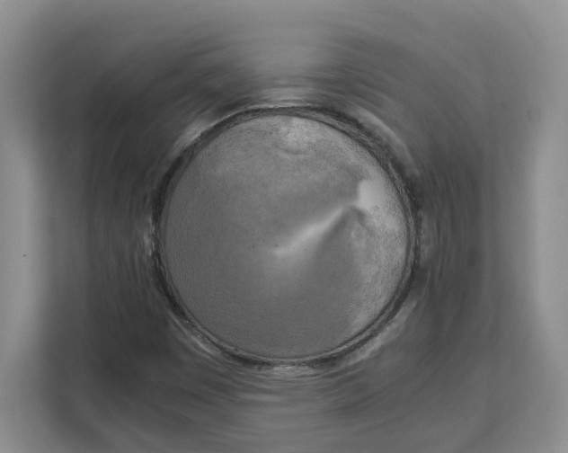 X0000111151449200907141332
