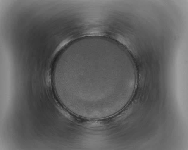 X0000111151450200907141332