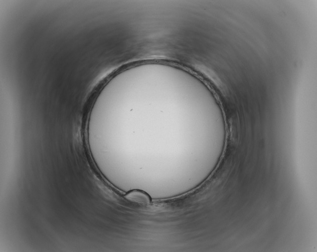 X0000111151452200907141332