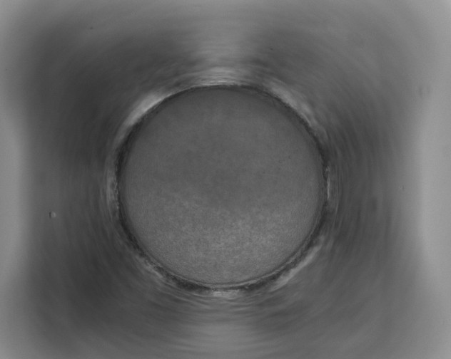 X0000111151453200907141332