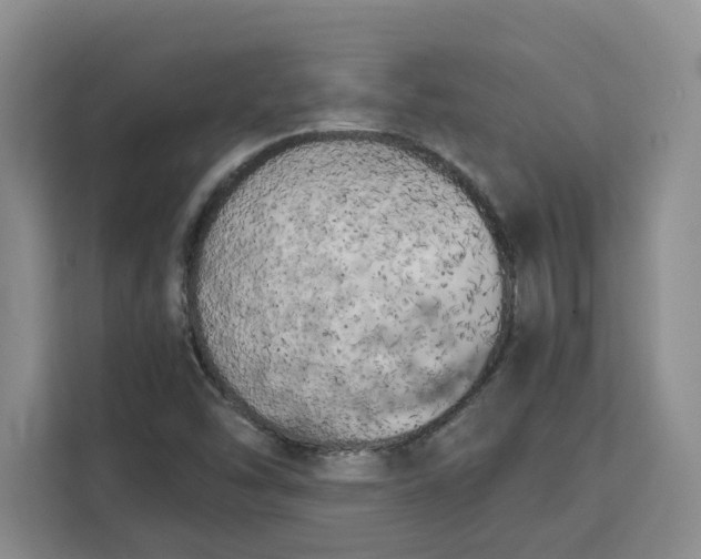 X0000111151454200907141332