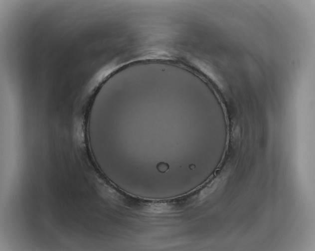 X0000111151455200907141332