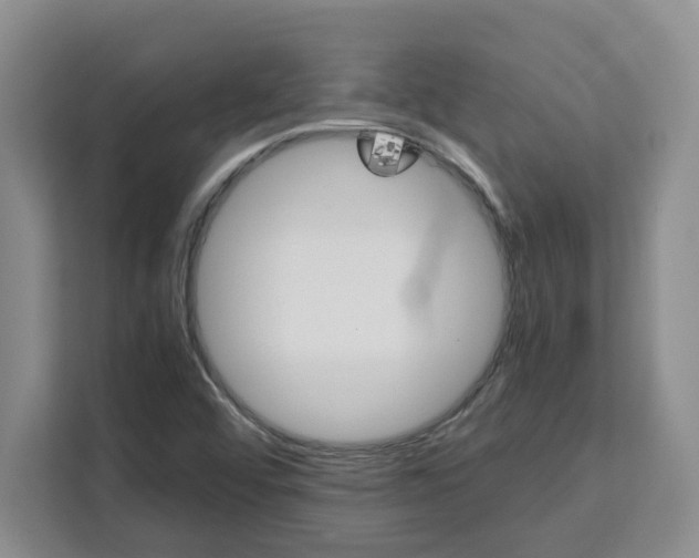 X0000111151456200907141332