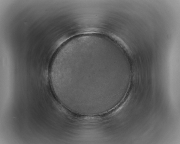 X0000111151457200907141332