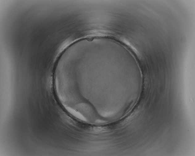 X0000111151459200907141332