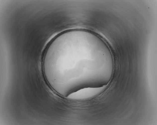 X0000111151460200907141332