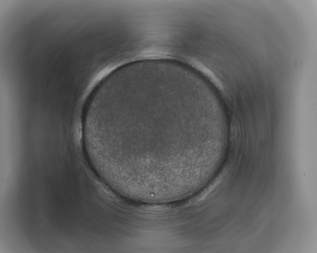 X0000111151461200907141332
