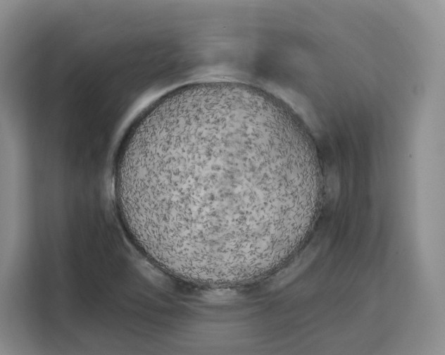 X0000111151462200907141332