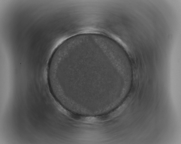 X0000111151463200907141332