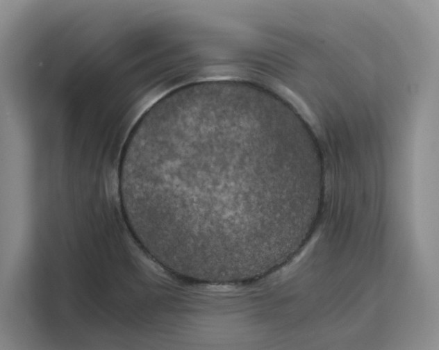 X0000111151465200907141332