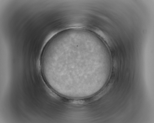 X0000111151466200907141332